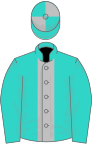 Turquoise, silver stripe, quartered cap