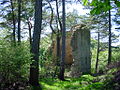 Ruine der Heldenburg bei Cutuș