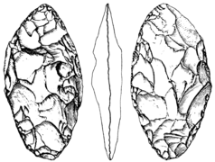 Blattspitzen centroeuropea