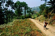 Bom on the way to Keokradong, 2007