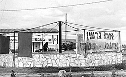 Tu BiShvat celebrations in Tziv'on in the 1950s