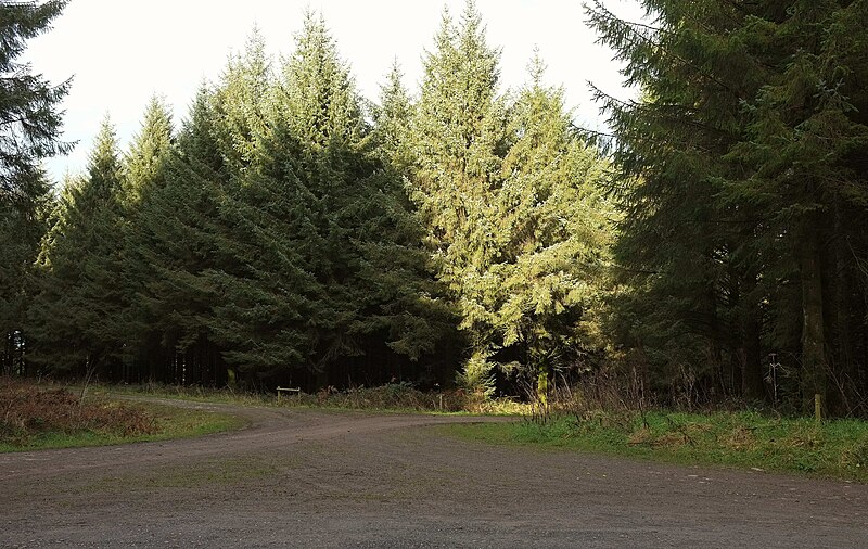 File:Ride junction, Kennisham Hill - geograph.org.uk - 6532393.jpg