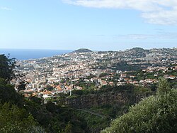 Panorama di Funchal dai giardini botanici