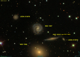 NGC 1067