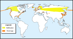 Distribución do mergullón real       Área de cría.       Área de invernada.