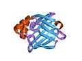 Thumbnail for File:PDB 1g5w EBI.jpg