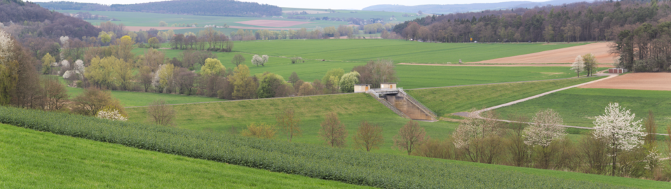 Nördlich nahe Ortsteil Heidelbach: Frische grüne Aue des Landschaftsschutzgebiets Auenverbund Schwalm mit Regenrückhaltebecken im Frühjahr 2017 (Spring 2017 in Hesse).