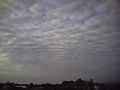 Altocumulus perlucidus