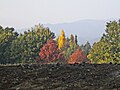 Autumn colours in Vigesimo