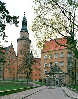 Oleśnicas slott.