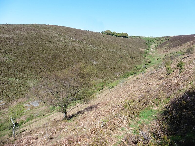 File:Deddy Combe - geograph.org.uk - 6149824.jpg