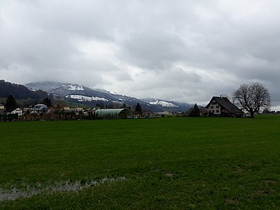 Schweiz: 13. November mit dem ersten Schnee in den Bergen bei trübem Wetter am Mittag Switzerland: begin of snow season in mountains