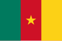 Det kamerunske flagget