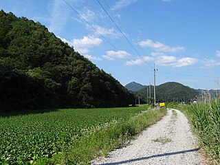 Wanju (Gui) in June 2016