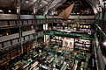 The Pitt Rivers Museum