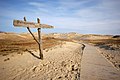 Grey dunes in Neringa