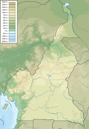 Kraftwerk Lom Pangar (Kamerun)