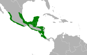 Distribución geográfica del pepitero ventricanelo.