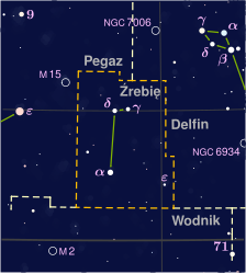 File:Equuleus constellation PP3 map PL.svg