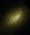 NGC 2915 par le télescope spatial Hubble.