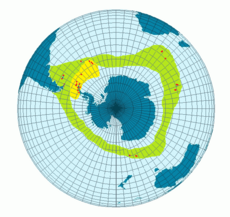 zeleně: geografický rozsah poddruhu Pygoscelis papua papua žlutě: geografický rozsah poddruhu Pygoscelis papua ellsworthi červeně: společné hnízdiště