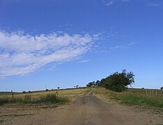 Roman road to Vindolanda - geograph.org.uk - 299100.jpg