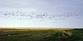 Nationalpark Wattenmeer SH