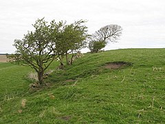 Carvoran (Magna) Roman Fort - west boundary (2) - geograph.org.uk - 1374234.jpg