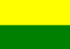 Flag of Roldanillo