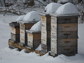 Massachusetts, United States