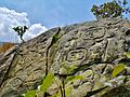 Petroglifos en el estado Carabobo, Venezuela.