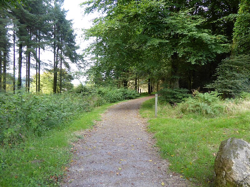 File:Waymarked path on Langham Hill through Chargot Woods - geograph.org.uk - 4655996.jpg