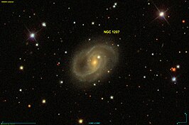 NGC 1207