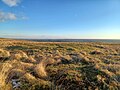 Thumbnail for File:Round barrow on Molland Common, Exmoor 02.jpg