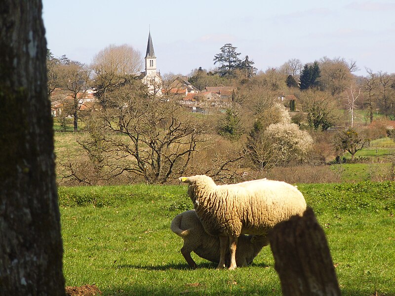 File:VueLuchapt.JPG