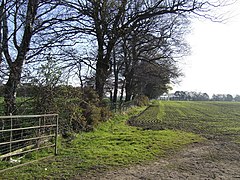 Along the line of Stanegate - geograph.org.uk - 406233.jpg