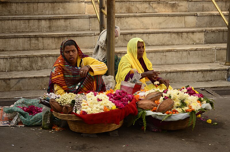 File:Udaipur (Rajastão), RTW 2012 (8407631739).jpg