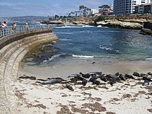 La Piscina Natural de los Niños, La Jolla