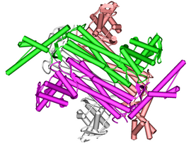 Image illustrative de l’article Fumarase