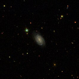 NGC 3019