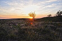 North Devon - Exmoor - Anstey Money Common (geograph 3981417).jpg