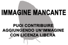 Immagine di Giagupardo mancante