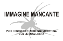 Immagine di Phireza sexmaculata mancante