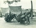 Wheelbarrow with sails (nearby 西安 - Xi'an, China, early 20th century).