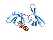 2g3r: Estrutura cristalina dos dominios Tudor en tándem de 53BP1 a unha resolución de 1.2 angstroms