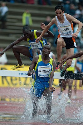 De 3000 m steeple tijdens de Fanny Blankers-Koen Games, een van de 15 wedstrijden van de IAAF World Challenge.