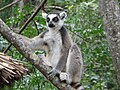 Isalo National Park, Madagascar