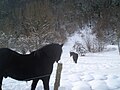 Mérens en hiver.