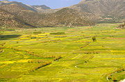 Αργόν Πεδίον (dt.: Faulebene), Peloponnes, 620 m, 5/2007; Polje-Name von Pausanias ca. 175 n. Chr. genannt und Eigenschaften beschrieben