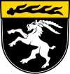 Engstingen